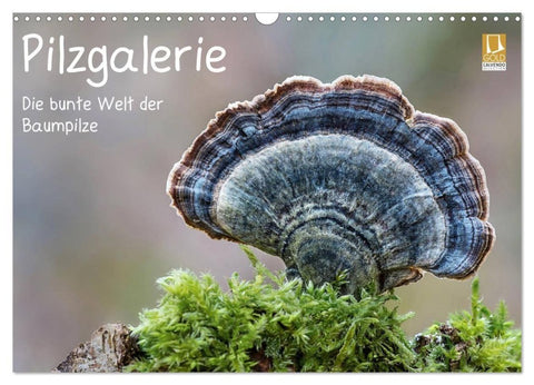 Pilzgalerie - Die bunte Welt der Baumpilze (Wandkalender 2027 DIN A3 quer), CALVENDO Monatskalender