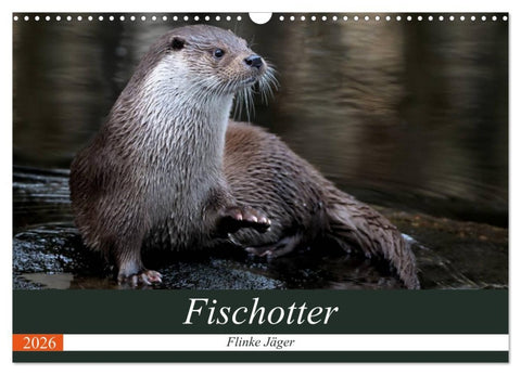 Fischotter, flinke Jäger (Wandkalender 2026 DIN A3 quer), CALVENDO Monatskalender