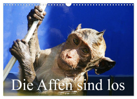 Die Affen sind los (Wandkalender 2027 DIN A3 quer), CALVENDO Monatskalender