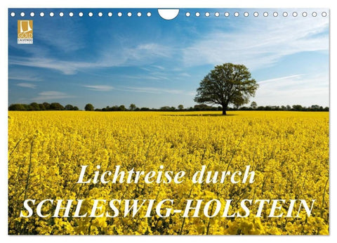 Lichtreise durch Schleswig-Holstein (Wandkalender 2027 DIN A4 quer), CALVENDO Monatskalender