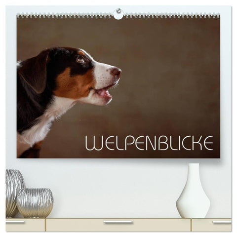 Welpenblicke (hochwertiger Premium Wandkalender 2027 DIN A2 quer), Kunstdruck in Hochglanz