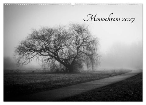 Monochrom 2027 (Wandkalender 2027 DIN A2 quer), CALVENDO Monatskalender