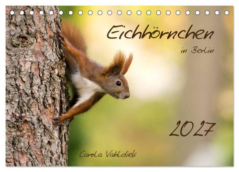 Eichhörnchen in Berlin (Tischkalender 2027 DIN A5 quer), CALVENDO Monatskalender