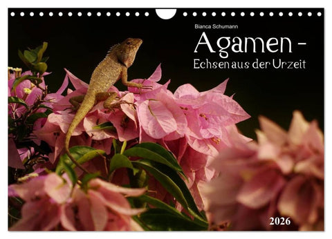 Agamen - Echsen aus der Urzeit (Wandkalender 2026 DIN A4 quer), CALVENDO Monatskalender