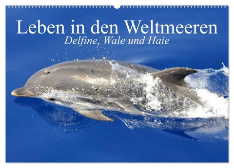 Leben in den Weltmeeren. Delfine, Wale und Haie (Wandkalender 2027 DIN A2 quer), CALVENDO Monatskalender