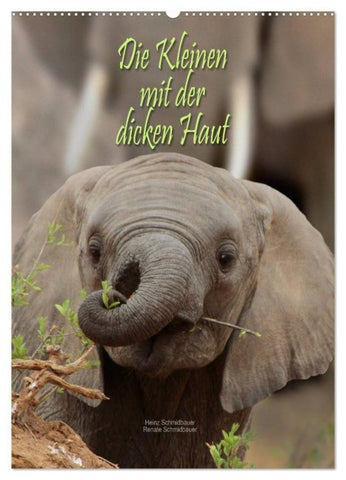 Die Kleinen mit der dicken Haut (Wandkalender 2027 DIN A2 hoch), CALVENDO Monatskalender