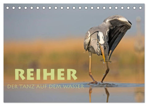 Reiher - Der Tanz auf dem Wasser (Tischkalender 2026 DIN A5 quer), CALVENDO Monatskalender