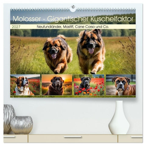 Molosser - Gigantischer Kuschelfaktor (hochwertiger Premium Wandkalender 2027 DIN A2 quer), Kunstdruck in Hochglanz