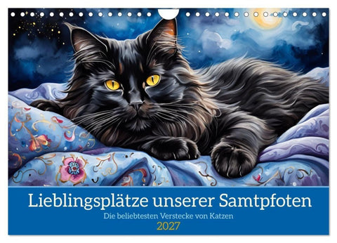 Lieblingsplätze unserer Samtpfoten (Wandkalender 2027 DIN A4 quer), CALVENDO Monatskalender