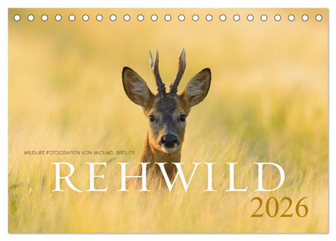 Rehwild 2026 (Tischkalender 2026 DIN A5 quer), CALVENDO Monatskalender