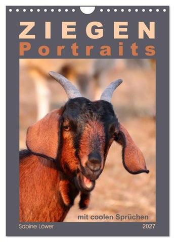 Ziegenportraits (Wandkalender 2027 DIN A4 hoch), CALVENDO Monatskalender