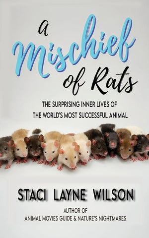 A Mischief of Rats