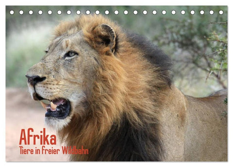 Afrika. Tiere in freier Wildbahn (Tischkalender 2026 DIN A5 quer), CALVENDO Monatskalender