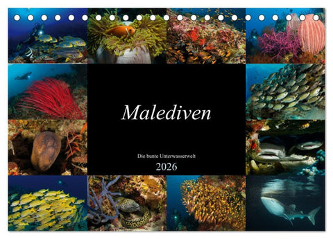 Malediven - Die bunte Unterwasserwelt (Tischkalender 2026 DIN A5 quer), CALVENDO Monatskalender
