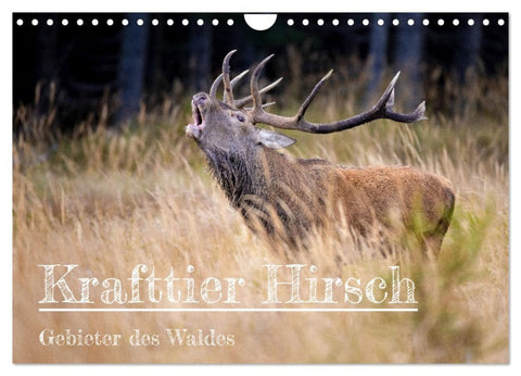 Krafttier Hirsch (Wandkalender 2026 DIN A4 quer), CALVENDO Monatskalender