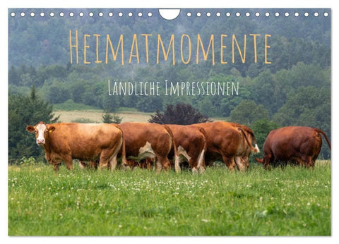 Heimatmomente - Ländliche Impressionen (Wandkalender 2027 DIN A4 quer), CALVENDO Monatskalender