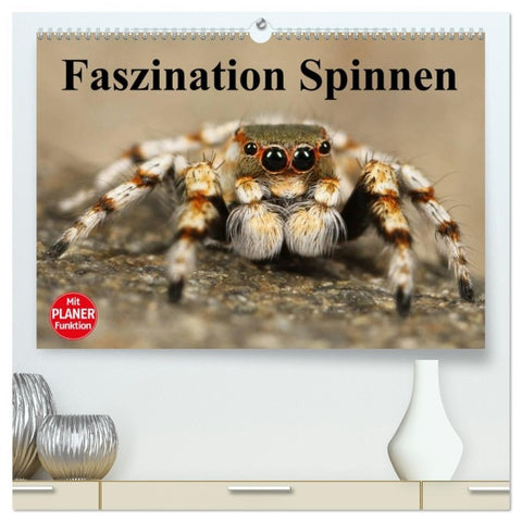 Faszination Spinnen (hochwertiger Premium Wandkalender 2026 DIN A2 quer), Kunstdruck in Hochglanz