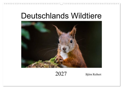 Deutschlands Wildtiere (Wandkalender 2027 DIN A2 quer), CALVENDO Monatskalender