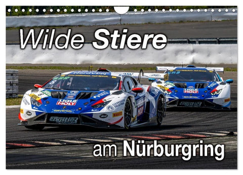 Wilde Stiere am Nürburgring (Wandkalender 2027 DIN A4 quer), CALVENDO Monatskalender