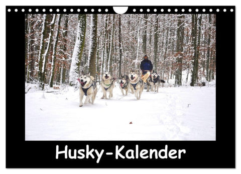 Husky-Kalender (Wandkalender 2026 DIN A4 quer), CALVENDO Monatskalender