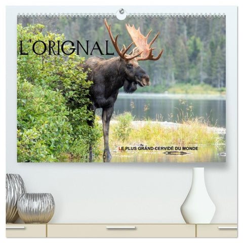 L'ORIGNAL, LE PLUS GRAND CERVIDÉ DU MONDE (Calendrier mural haut de gamme 2027 DIN A2 vertical), CALVENDO calendrier mensuel