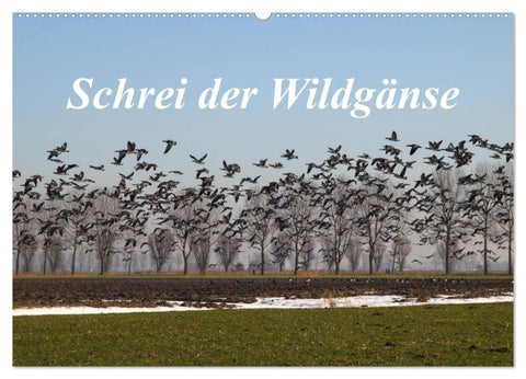 Schrei der Wildgänse (Wandkalender 2026 DIN A2 quer), CALVENDO Monatskalender