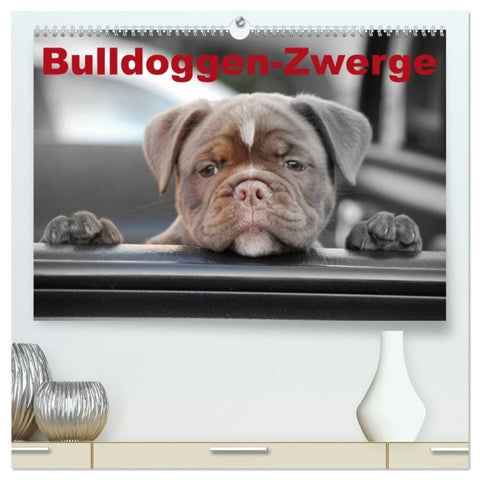 Bulldoggen-Zwerge (hochwertiger Premium Wandkalender 2027 DIN A2 quer), Kunstdruck in Hochglanz
