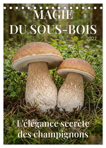 MAGIE DU SOUS-BOIS (Calendrier de bureau 2027 DIN A5 horizontal), CALVENDO calendrier mensuel