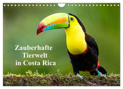 Zauberhaft Tierwelt in Costa Rica (Wandkalender 2027 DIN A4 quer), CALVENDO Monatskalender