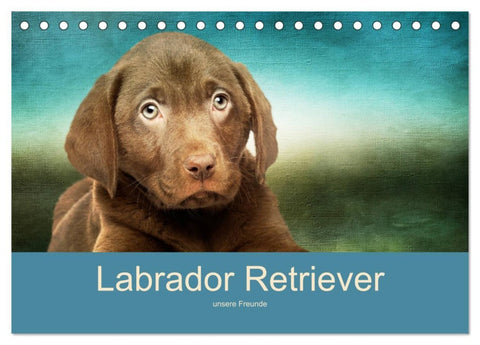 Labrador Retriever unsere Freunde (Tischkalender 2026 DIN A5 quer), CALVENDO Monatskalender