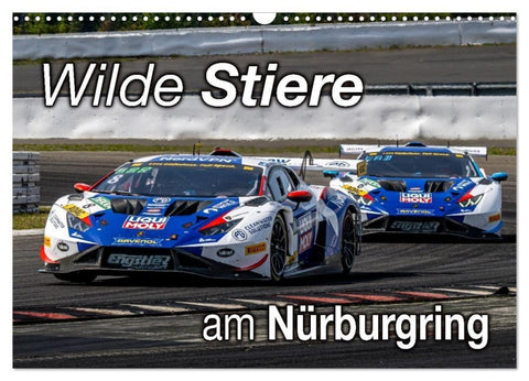 Wilde Stiere am Nürburgring (Wandkalender 2026 DIN A3 quer), CALVENDO Monatskalender