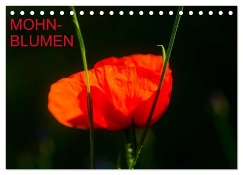 Mohnblumen (Tischkalender 2027 DIN A5 quer), CALVENDO Monatskalender