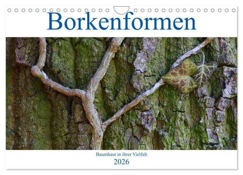 Borkenformen (Wandkalender 2026 DIN A4 quer), CALVENDO Monatskalender