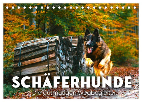 Schäferhunde - Die gutmütigen Wegbegleiter. (Tischkalender 2027 DIN A5 quer), CALVENDO Monatskalender
