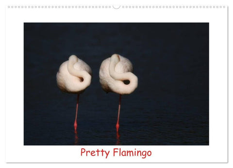 Pretty Flamingo (Wandkalender 2027 DIN A2 quer), CALVENDO Monatskalender
