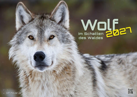 Wolf – Im Schatten des Waldes - 2027 - Kalender DIN A3