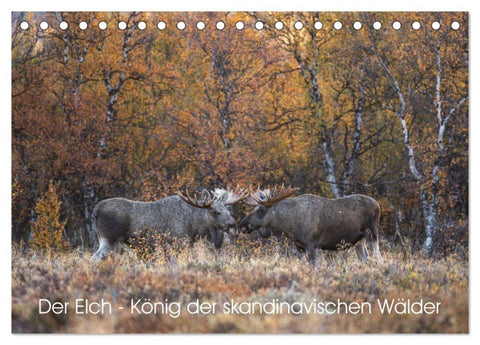 Der Elch - König der skandinavischen Wälder (Tischkalender 2027 DIN A5 quer), CALVENDO Monatskalender