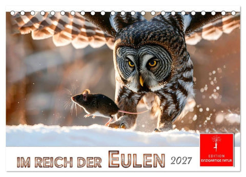 Im Reich der Eulen (Tischkalender 2027 DIN A5 quer), CALVENDO Monatskalender