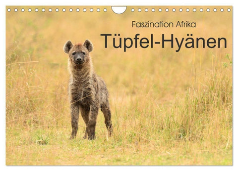Faszination Afrika: Tüpfel-Hyänen (Wandkalender 2027 DIN A4 quer), CALVENDO Monatskalender