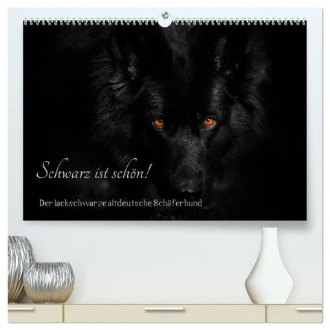 Schwarz ist schön! Der lackschwarze altdeutsche Schäferhund (hochwertiger Premium Wandkalender 2027 DIN A2 quer), Kunstdruck in Hochglanz