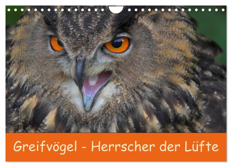 Greifvögel - Herrscher der Lüfte (Wandkalender 2026 DIN A4 quer), CALVENDO Monatskalender
