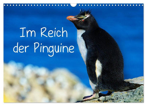 Im Reich der Pinguine (Wandkalender 2027 DIN A3 quer), CALVENDO Monatskalender