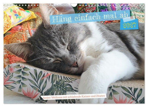 Häng einfach mal ab (Wandkalender 2027 DIN A3 quer), CALVENDO Monatskalender