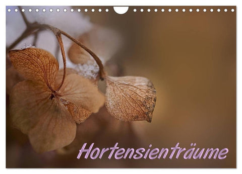 Hortensienträume (Wandkalender 2027 DIN A4 quer), CALVENDO Monatskalender