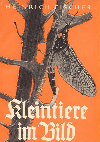 Kleintiere im Bild