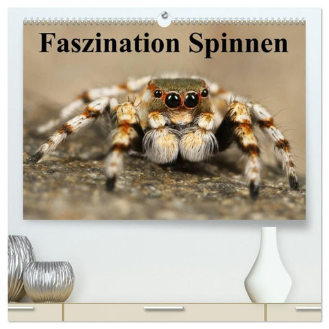 Faszination Spinnen (hochwertiger Premium Wandkalender 2027 DIN A2 quer), Kunstdruck in Hochglanz
