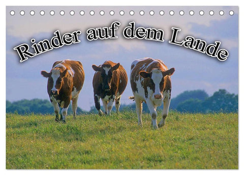 Rinder auf dem Lande (Tischkalender 2026 DIN A5 quer), CALVENDO Monatskalender