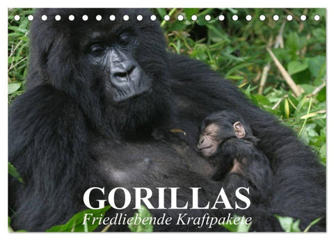 Gorillas. Friedliebende Kraftpakete (Tischkalender 2027 DIN A5 quer), CALVENDO Monatskalender