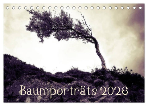 Baumporträts 2026 (Tischkalender 2026 DIN A5 quer), CALVENDO Monatskalender