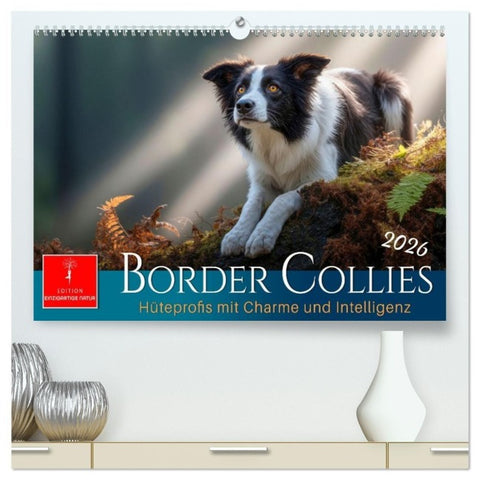 Border Collies Hüteprofis (hochwertiger Premium Wandkalender 2026 DIN A2 quer), Kunstdruck in Hochglanz